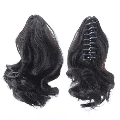 Extension queue de cheval/ MONICA