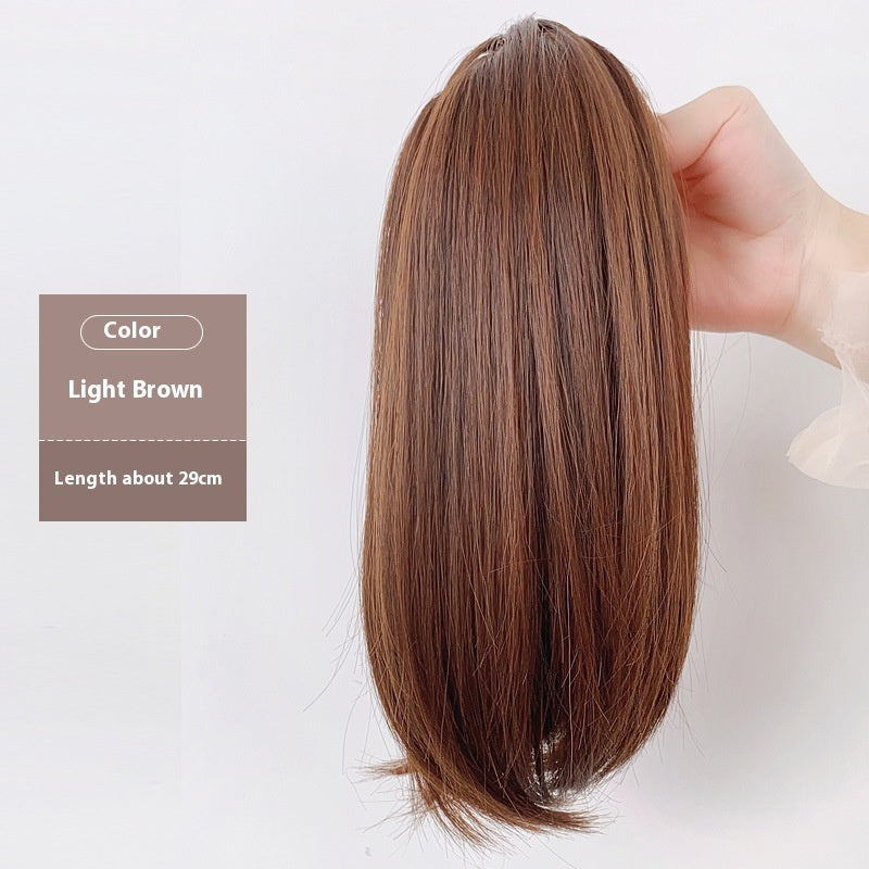 Extension queue de cheval/ FANNY