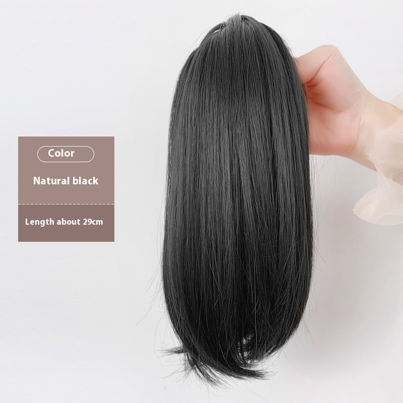 Extension queue de cheval/ FANNY