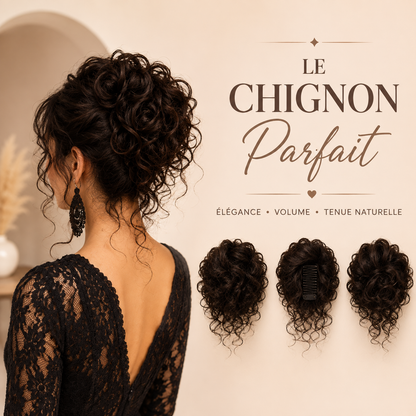 Chignon Cheveux Naturels