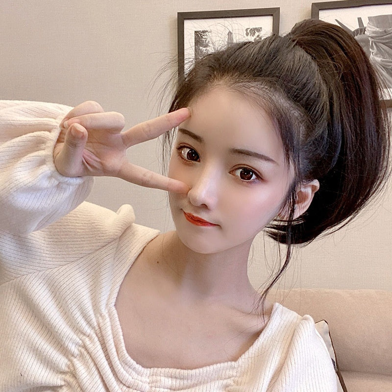 Extension queue de cheval/ FANNY