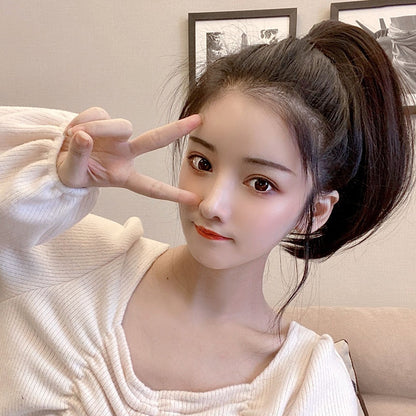 Extension queue de cheval/ FANNY