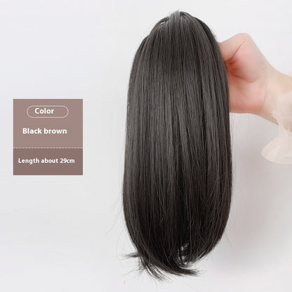 Extension queue de cheval/ FANNY