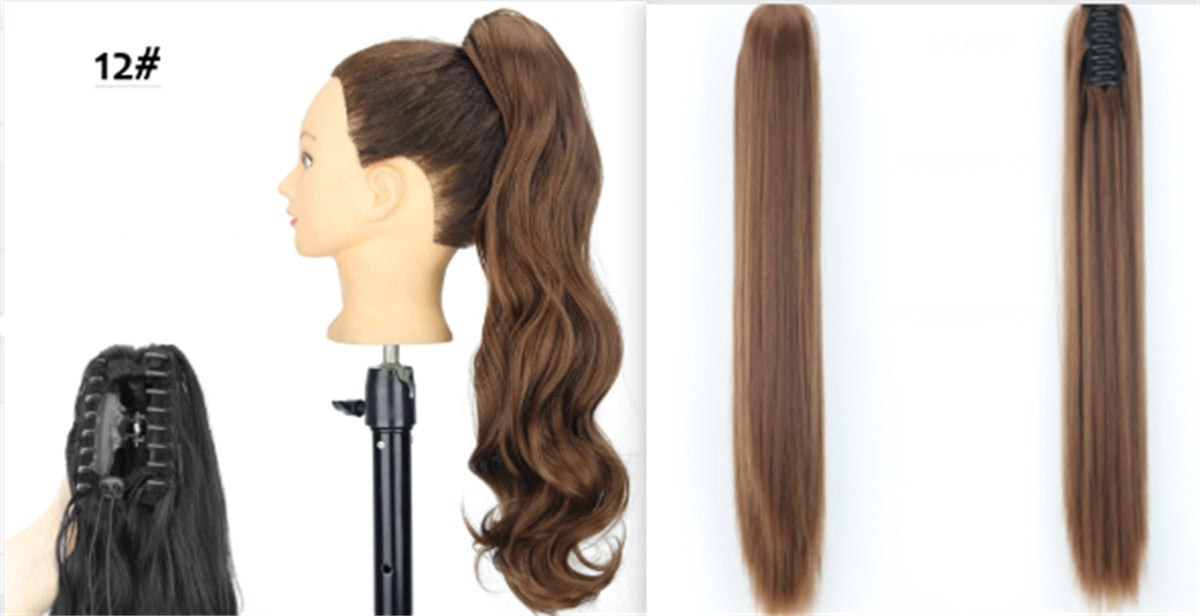 Extension queue de cheval/ SULLY