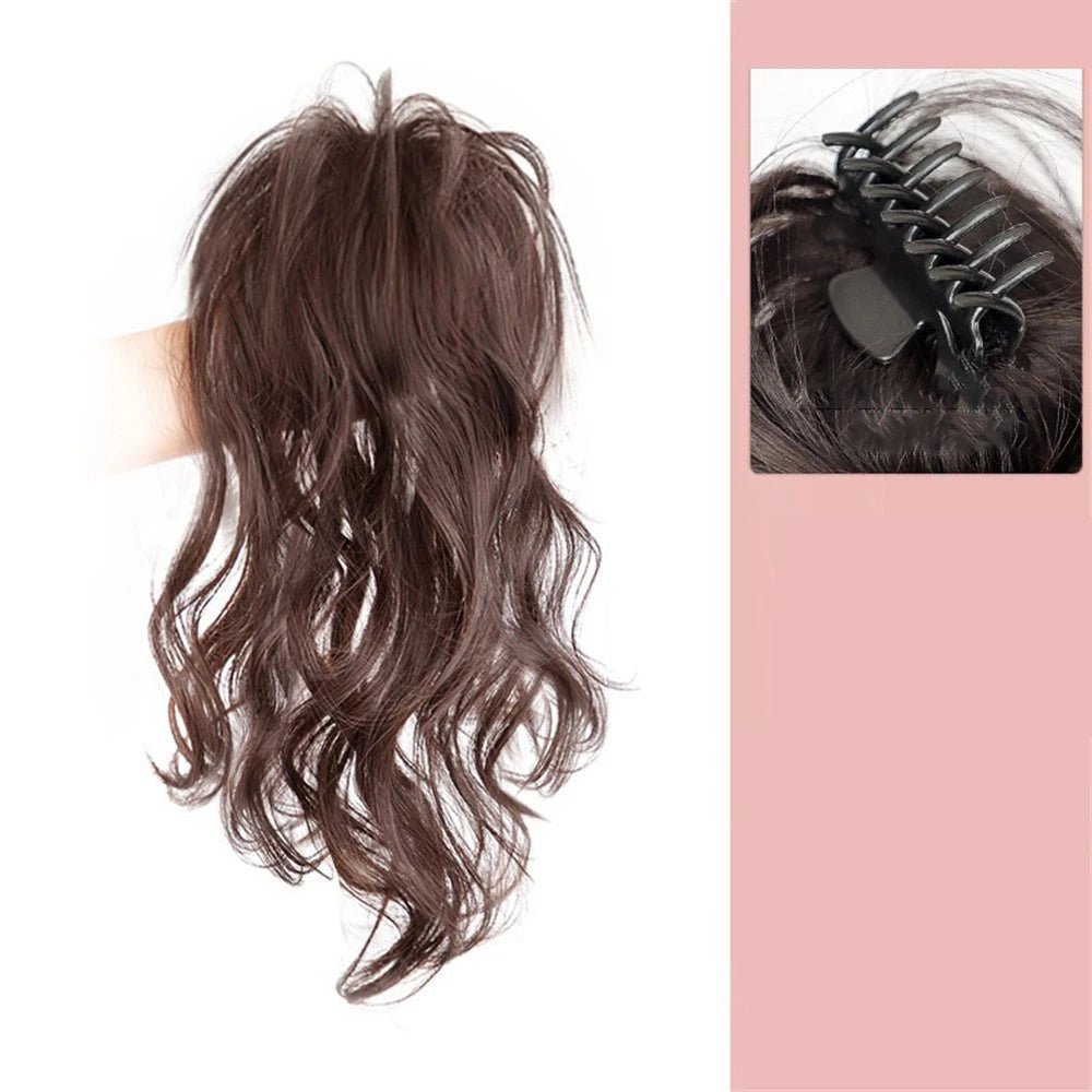 Extensions queue de cheval/ ALICIA - BIU - T