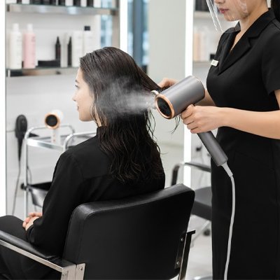 Pro Rapid Dry Professional Dryer